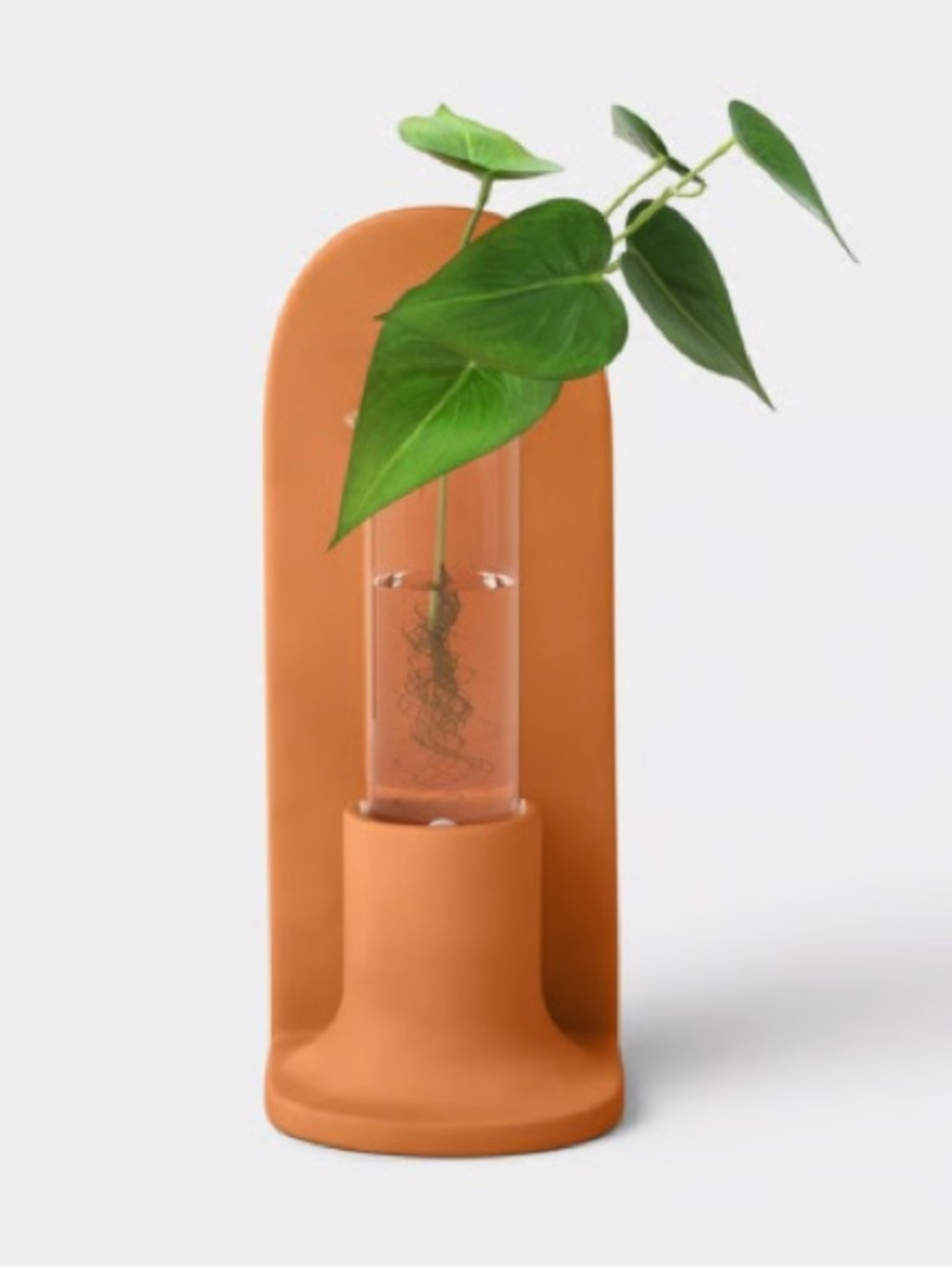 THRESHOLD NWT Glass
Terrarium with Tall arched Back